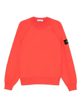 Stone Island: Свитшот с рукавом реглан 