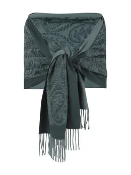 ETRO: Шарф с принтом 